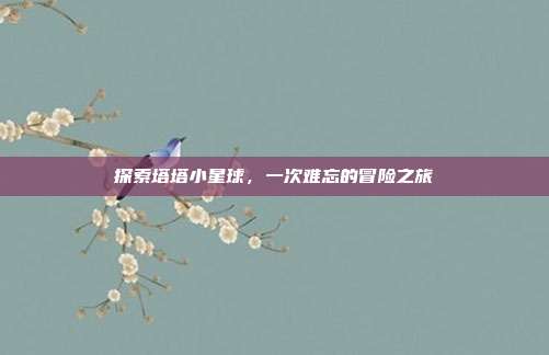 探索塔塔小星球,一次难忘的冒险之旅
