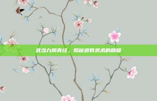 武当九阴真经,揭秘道教武术的精髓