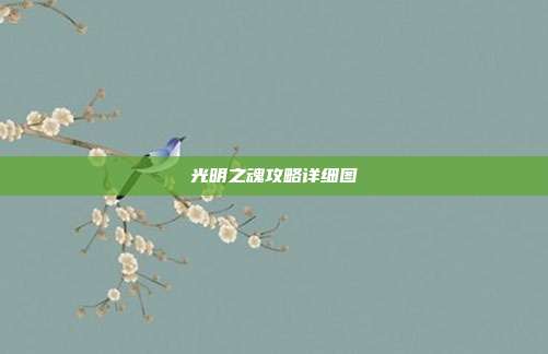 光明之魂攻略详细图