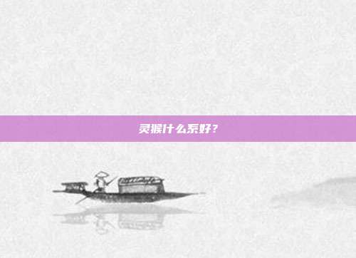 灵猴什么系好?