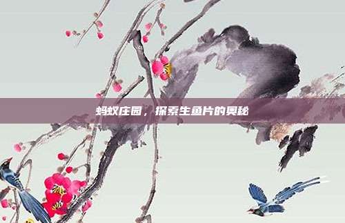蚂蚁庄园,探索生鱼片的奥秘