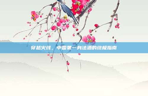 穿越火线,中国第一身法酒的终极指南
