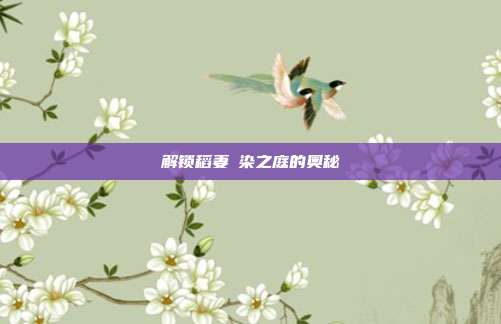 解锁稻妻椛染之庭的奥秘