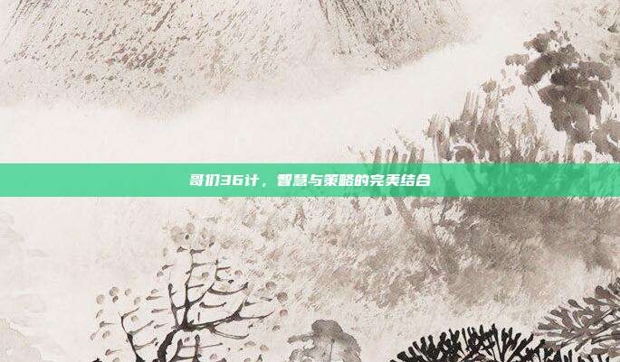哥们36计,智慧与策略的完美结合