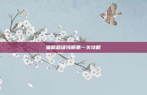 猫版超级玛丽第一关攻略