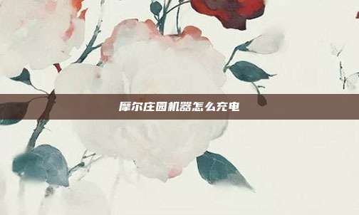 摩尔庄园机器怎么充电