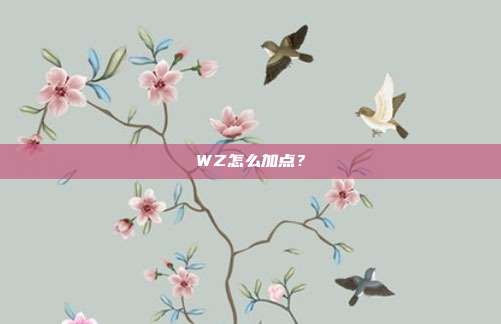WZ怎么加点?