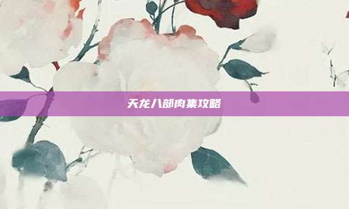 天龙八部肉集攻略