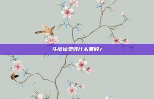斗战神灵猴什么系好?