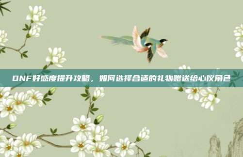 DNF好感度提升攻略,如何选择合适的礼物赠送给心仪角色