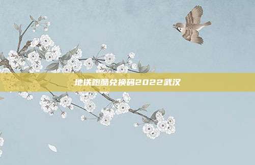 地铁跑酷兑换码2022武汉