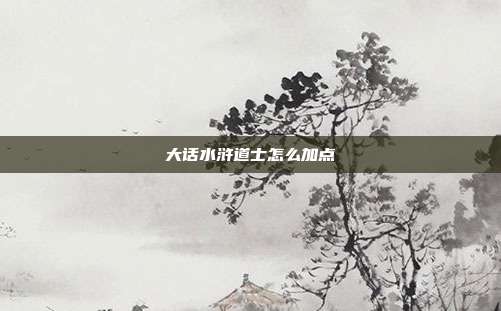 大话水浒道士怎么加点