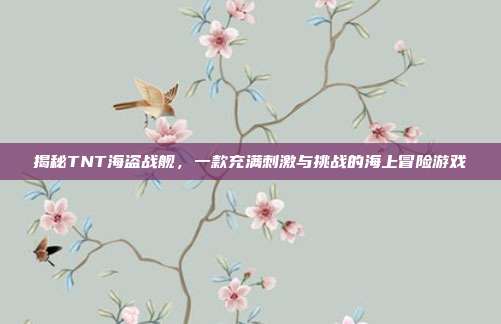 揭秘TNT海盗战舰,一款充满刺激与挑战的海上冒险游戏