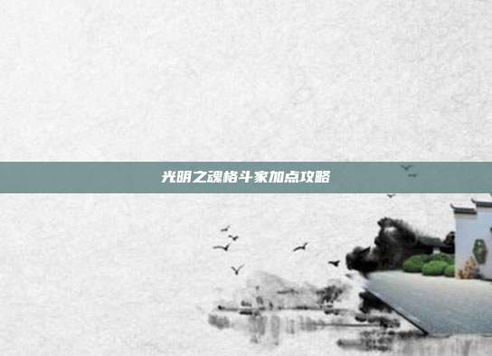 光明之魂格斗家加点攻略