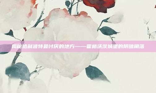 揭秘哈利波特最讨厌的地方——霍格沃茨城堡的阴暗角落