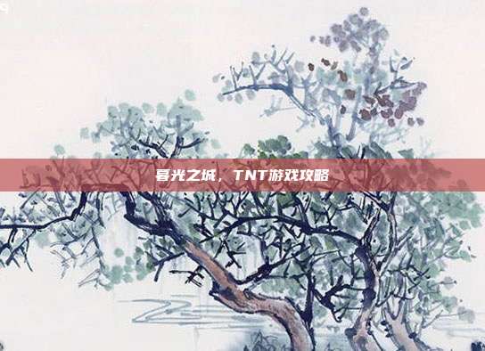 暮光之城,TNT游戏攻略