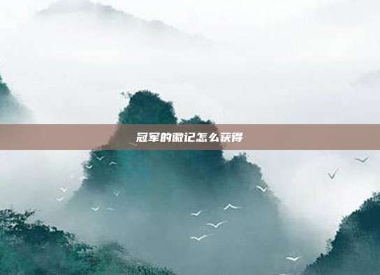 冠军的徽记怎么获得