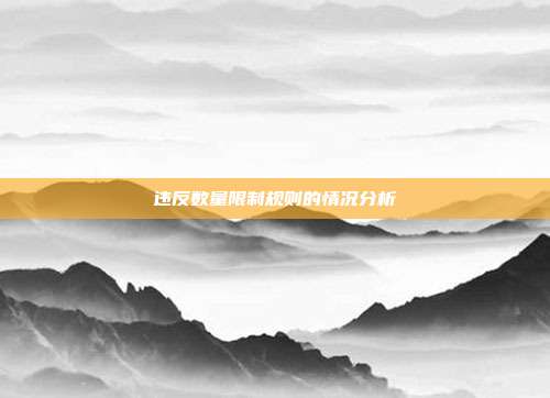 违反数量限制规则的情况分析