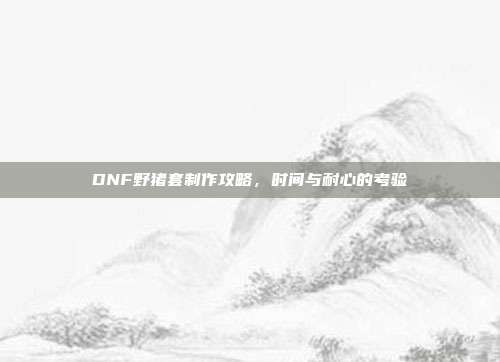 DNF野猪套制作攻略,时间与耐心的考验