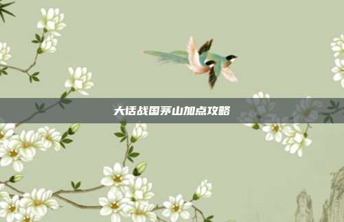 大话战国茅山加点攻略