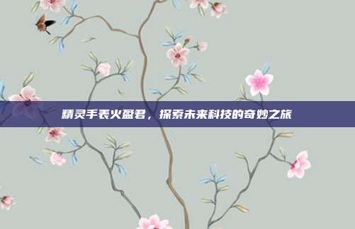 精灵手表火盈君,探索未来科技的奇妙之旅