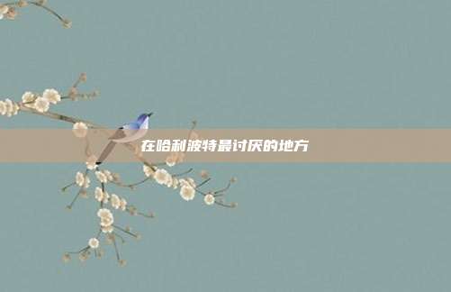 在哈利波特最讨厌的地方