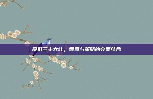 哥们三十六计,智慧与策略的完美结合