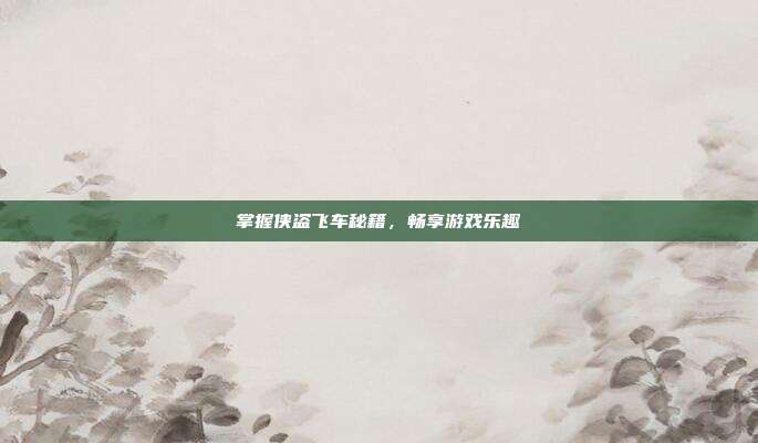 掌握侠盗飞车秘籍,畅享游戏乐趣