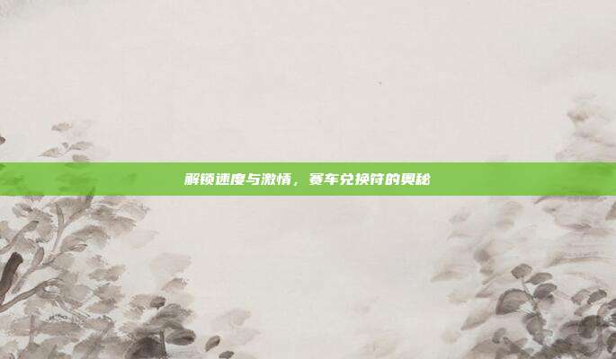 解锁速度与激情,赛车兑换符的奥秘