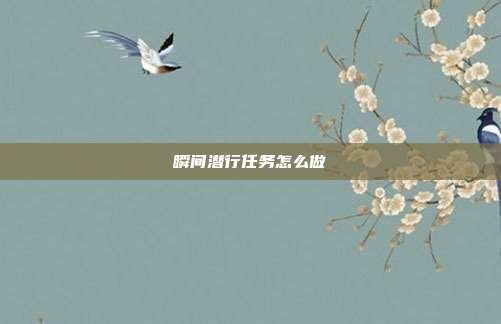 瞬间潜行任务怎么做