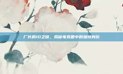厂长的ID之谜,揭秘电竞圈中的独特身份