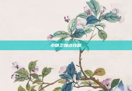 小精卫加点攻略