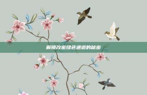 解锁改密绿色通道的秘密