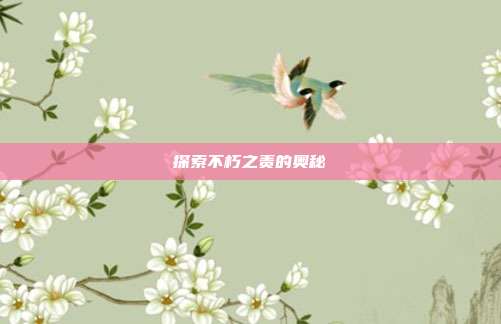 探索不朽之责的奥秘