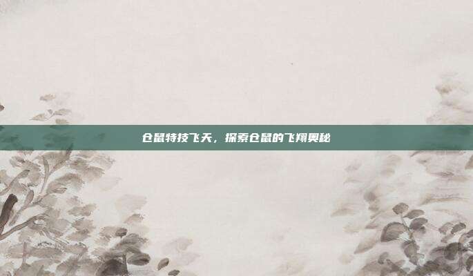 仓鼠特技飞天,探索仓鼠的飞翔奥秘