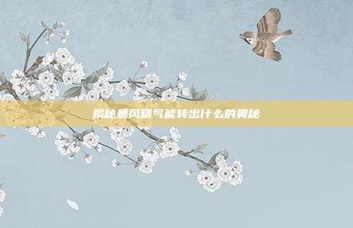 揭秘暴风精气能转出什么的奥秘