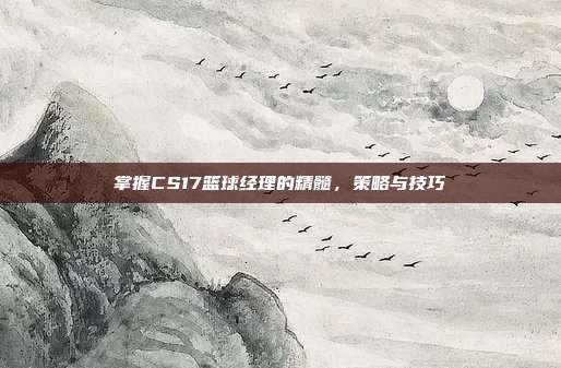 掌握CS17篮球经理的精髓,策略与技巧