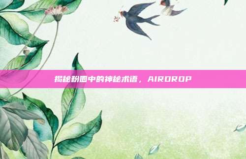 揭秘粉圈中的神秘术语,AIRDROP