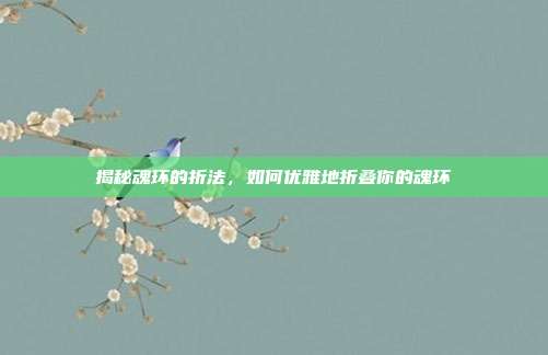 揭秘魂环的折法，如何优雅地折叠你的魂环