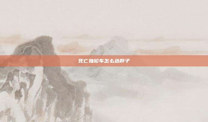 死亡独轮车怎么选胖子