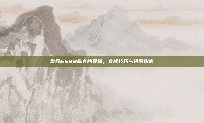 掌握65SS拳套的奥秘，实战技巧与进阶指南