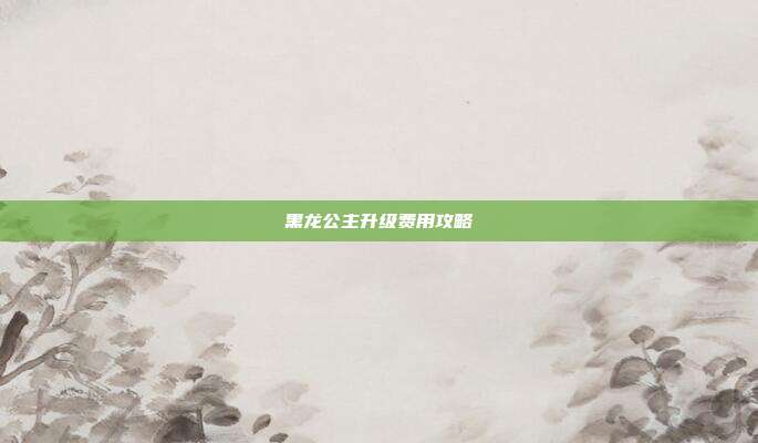 黑龙公主升级费用攻略