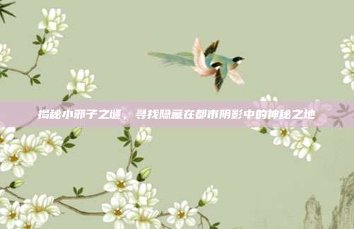 揭秘小邪子之谜,寻找隐藏在都市阴影中的神秘之地