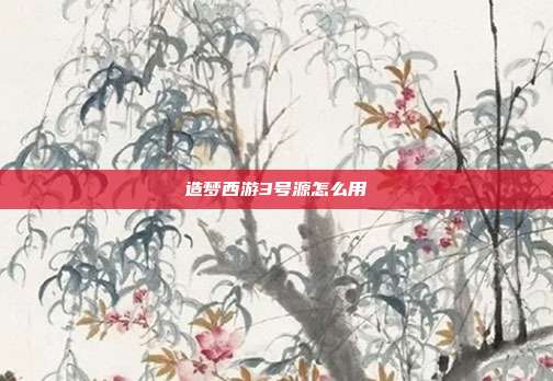 造梦西游3号源怎么用