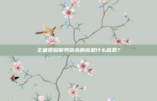 王者荣耀服务器未响应是什么意思?