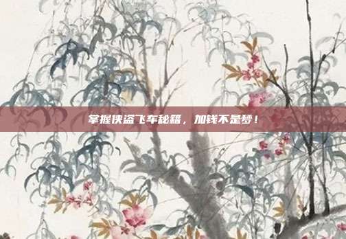 掌握侠盗飞车秘籍,加钱不是梦!