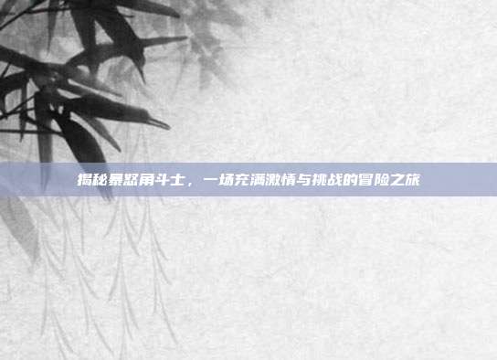 揭秘暴怒角斗士,一场充满激情与挑战的冒险之旅