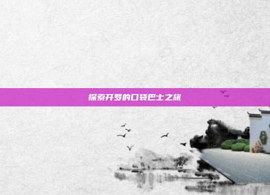 探索开罗的口袋巴士之旅