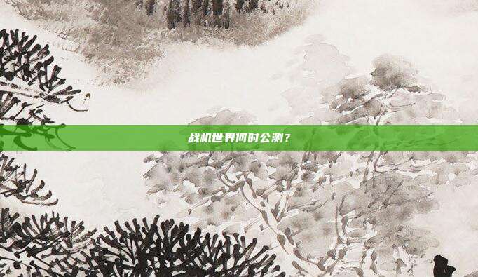 战机世界何时公测?
