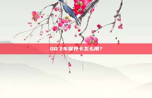 QQ飞车保养卡怎么用?